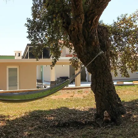 Stunning Modern Monte Vernal In Near The And Center