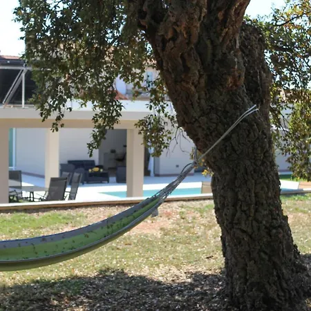 Stunning Modern Monte Vernal In Near The And Center